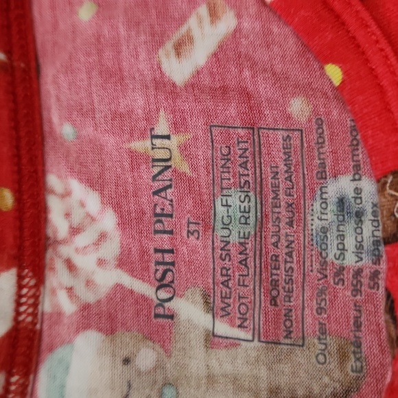 Posh Peanut 2 piece pajama set Size 3T - Picture 2 of 3